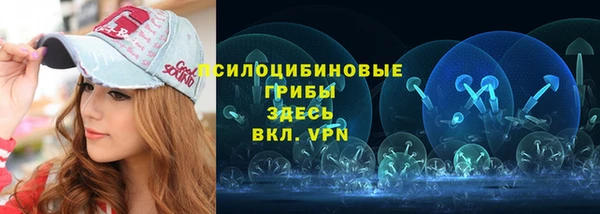 винт Алексеевка