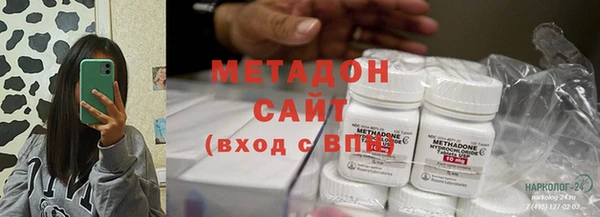 стаф Алзамай