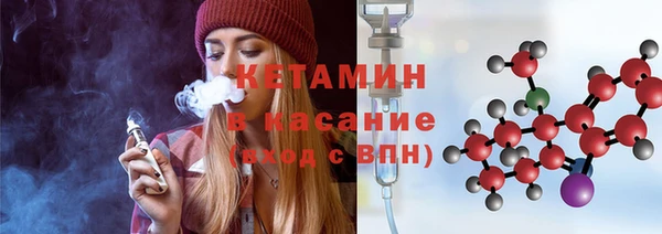 стаф Алзамай