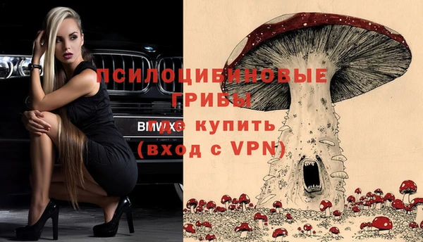 стаф Алзамай