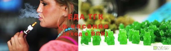 стаф Алзамай