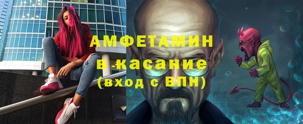 стаф Алзамай