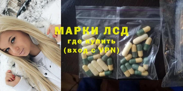 стаф Алзамай