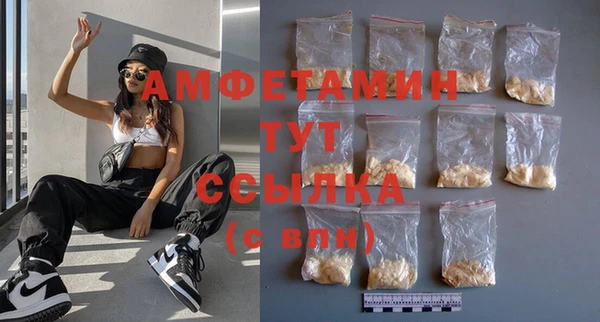 стаф Алзамай