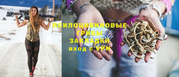 винт Алексеевка